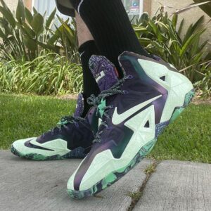 Branded LeBron 11 Gator King Sneakers