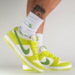 Branded SB Dunk Low Sneakers