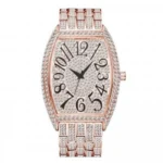 Trendy Frank Muller Watch For Men (CS4195)